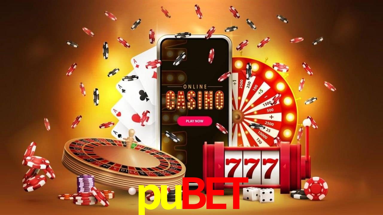 Experiência VIP pubet