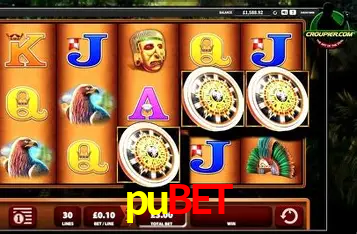 A Experiência Imersiva dos Cassinos Ao Vivo no pubet