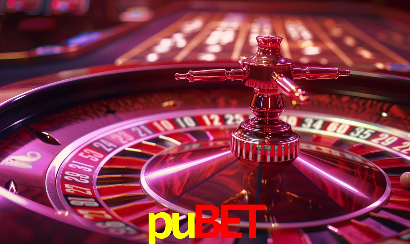 Interface Premium pubet