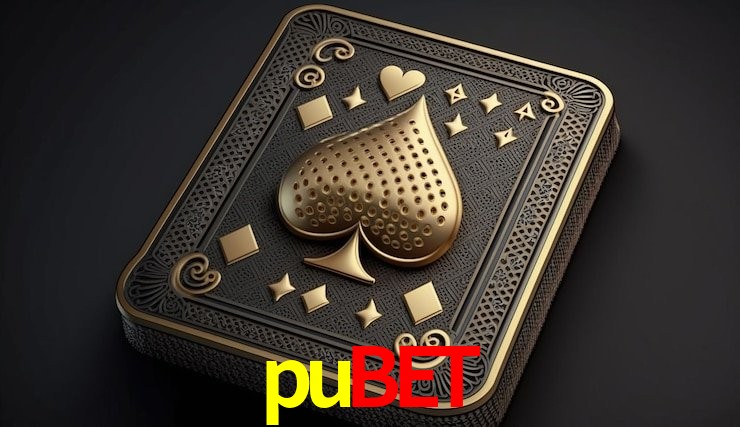 Design Responsivo pubet